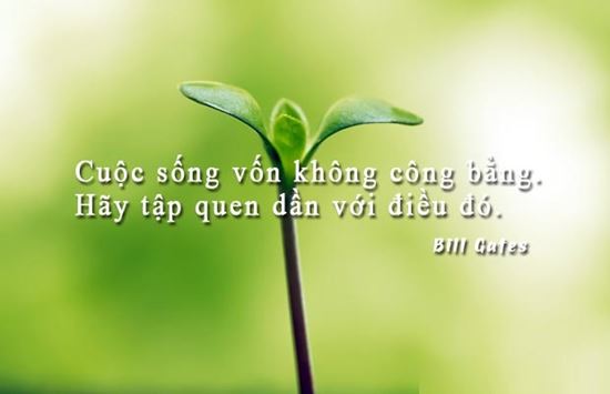 Danh Ngôn Cuộc Sống Hay Dành Cho Những Ai Đang Chán Nản 2