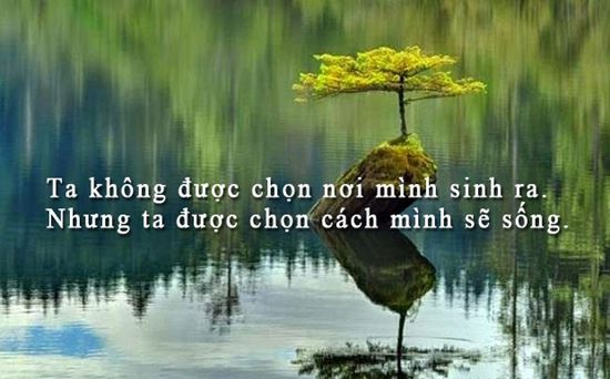 Danh Ngôn Cuộc Sống Hay Dành Cho Những Ai Đang Chán Nản 3