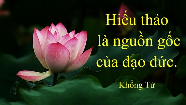 Những Câu Danh Ngôn Về Gia Đình Hay Và Ý Nghĩa Nhất 1