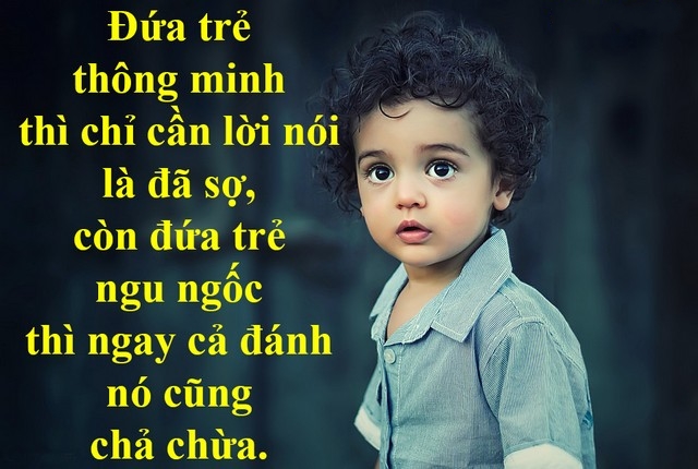 Những Câu Danh Ngôn Về Gia Đình Hay Và Ý Nghĩa Nhất 14