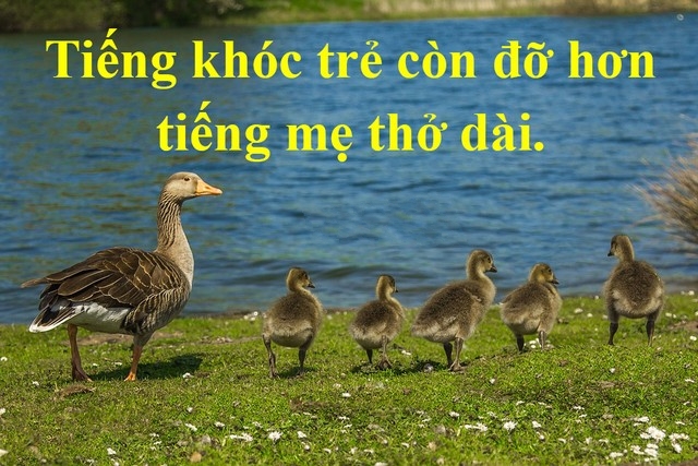 Những Câu Danh Ngôn Về Gia Đình Hay Và Ý Nghĩa Nhất 17