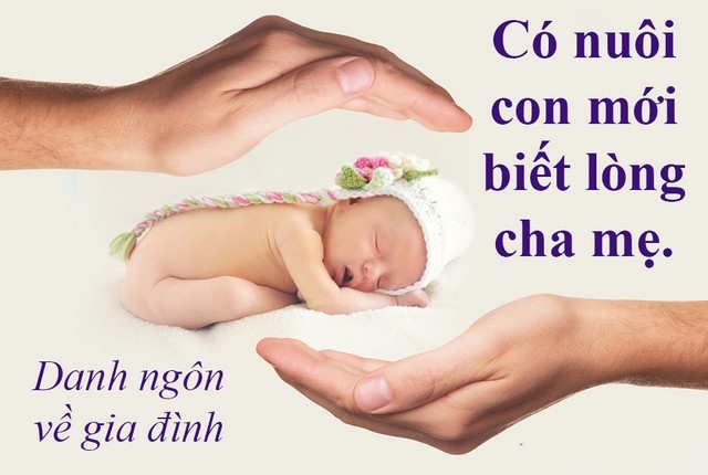 Những Câu Danh Ngôn Về Gia Đình Hay Và Ý Nghĩa Nhất 23