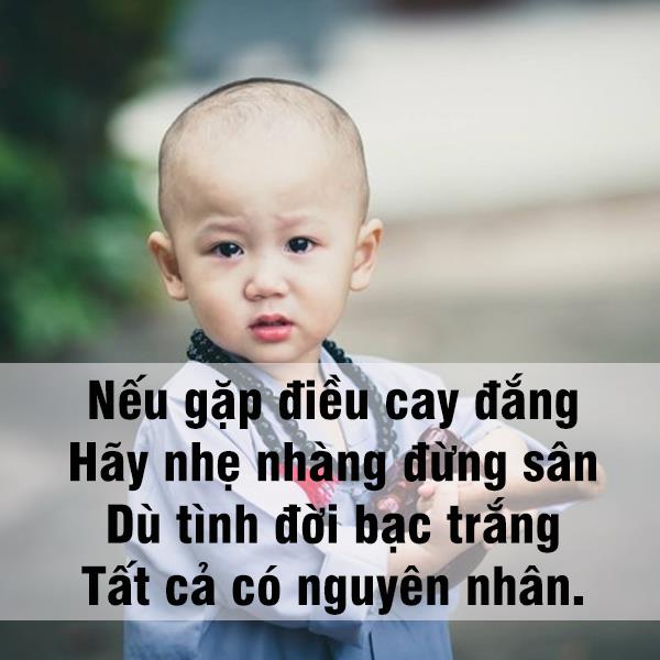 Những Nguyên Tắc Trong Cuộc Sống Mà Bạn Nên Nhớ 5