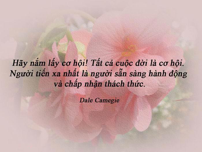 Danh Ngôn Cuộc Sống Hay Đáng Để Chia Sẻ 6