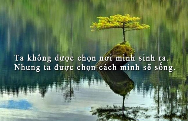 Danh Ngôn Cuộc Sống Hay Và Ý Nghĩa Nhất 1