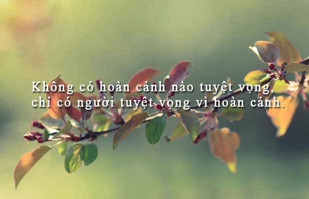 Danh Ngôn Cuộc Sống Hay Và Ý Nghĩa Nhất 2