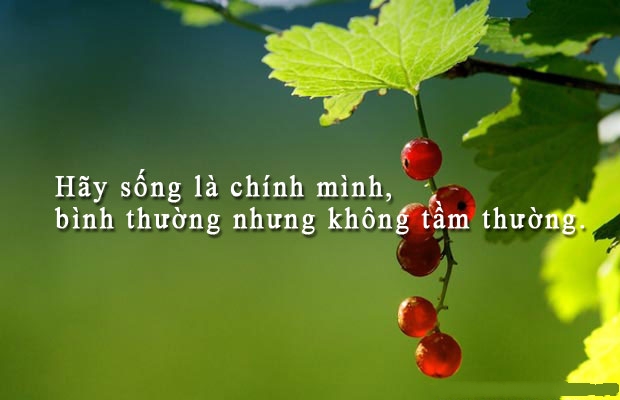 Danh Ngôn Cuộc Sống Hay Và Ý Nghĩa Nhất 6