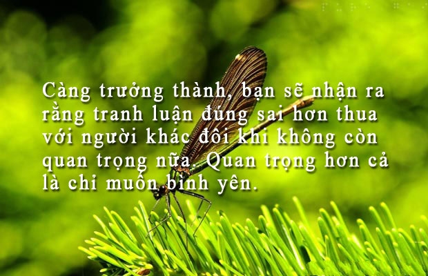 Danh Ngôn Cuộc Sống Hay Và Ý Nghĩa Nhất 8