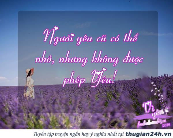 Những Status Về Tình Yêu Đẹp Rất Ý Nghĩa 2