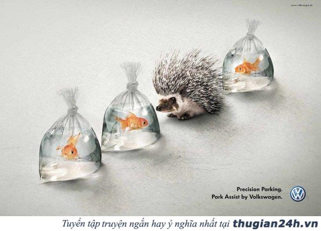 17 &yacute; tưởng quảng c&aacute;o 