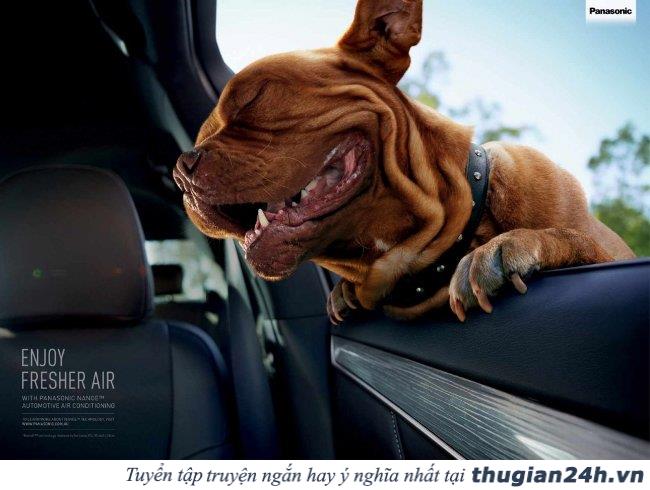 17 &yacute; tưởng quảng c&aacute;o 
