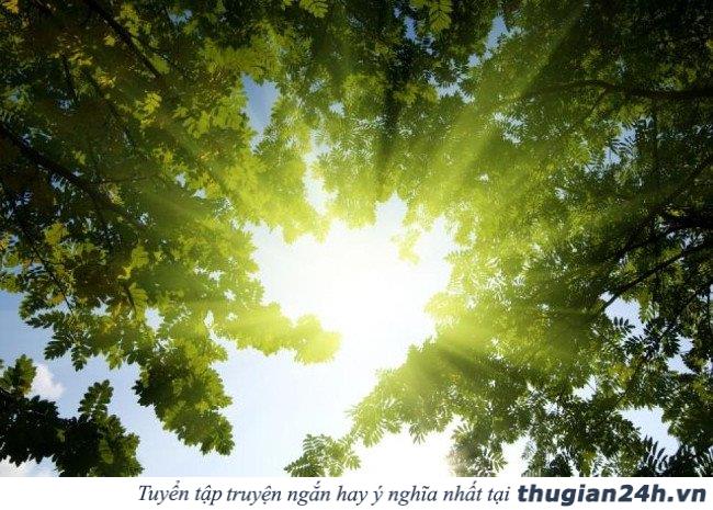 Những loại thực phẩm giúp bạn tỉnh táo hơn cả uống cà phê 2