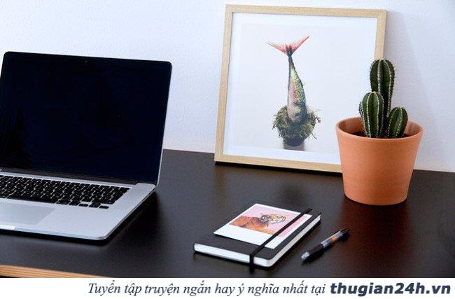 8 loại cây chống bức xạ điện từ cực tốt cho những ai thường xuyên dùng máy tính 0