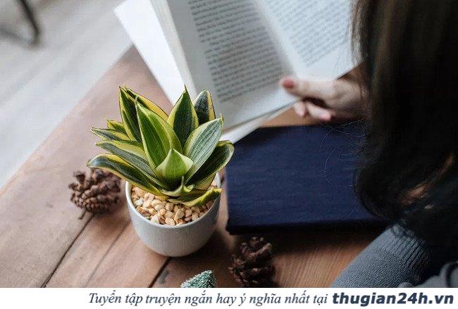 8 loại cây chống bức xạ điện từ cực tốt cho những ai thường xuyên dùng máy tính 6