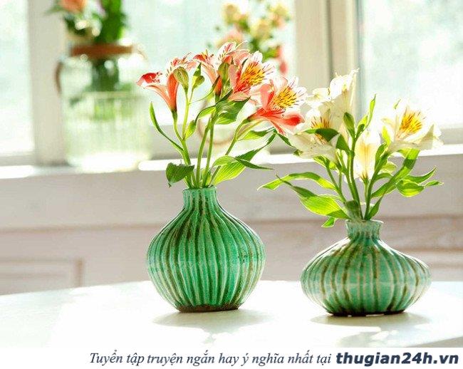 8 loại cây chống bức xạ điện từ cực tốt cho những ai thường xuyên dùng máy tính 7