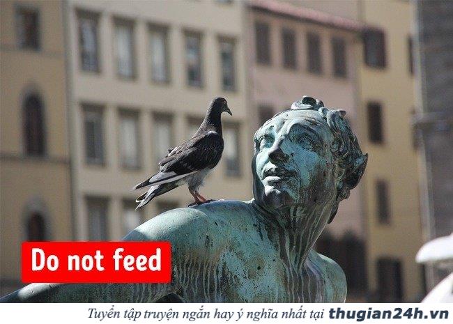 9 điều luật cấm kỳ quặc tr&ecirc;n thế giới 4