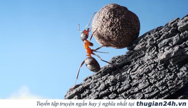 9 bí quyết đơn giản giúp bạn luôn vui vẻ trong công việc 0