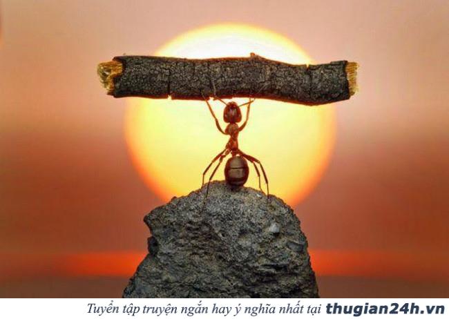 Đừng buồn, trượt đại học không đáng sợ như bạn nghĩ đâu 4