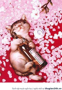 Thư Giãn Cùng Chùm Thơ Chế Vui Cho Mùa Valentine 2