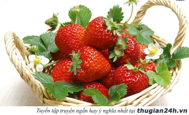 Khi đói bạn nên ăn 6 loại trái cây này sẽ vô cùng có lợi cho sức khỏe 2