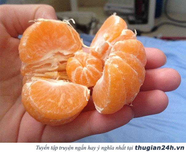 25+ bức ảnh cho thấy 