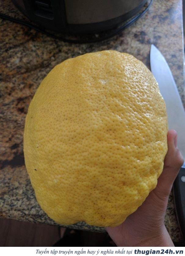 25+ bức ảnh cho thấy 