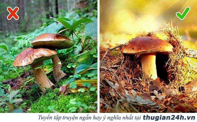 13 mẹo vặt giúp bạn 