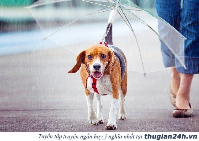 Thích thú với 19 thiết kế tiện ích độc đáo trên thế giới 3