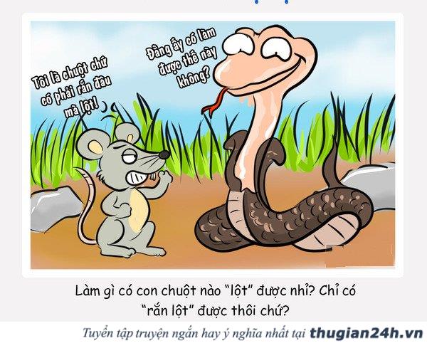7 câu thành ngữ tục ngữ quen thuộc nhưng ai cũng đang dùng sai 0