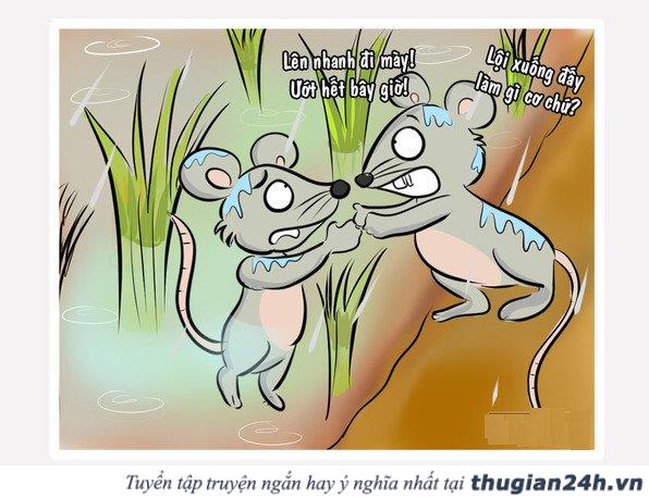 7 câu thành ngữ tục ngữ quen thuộc nhưng ai cũng đang dùng sai 1