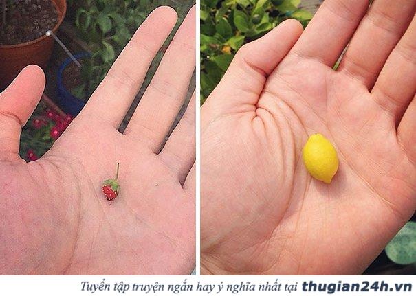 20+ người đen đủi đến tột cùng trong chuyện ăn uống 1