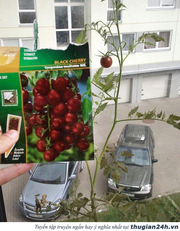 20+ người đen đủi đến tột cùng trong chuyện ăn uống 25