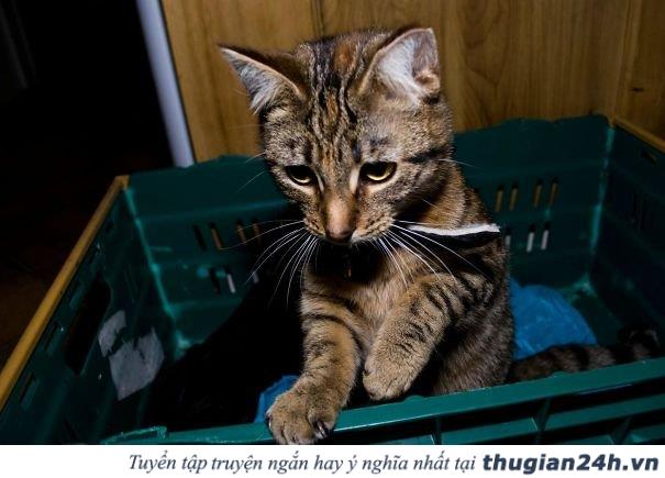 20+ hình ảnh cho thấy bạn cùng phòng luôn là đứa nguy hiểm nhất hành tinh 0