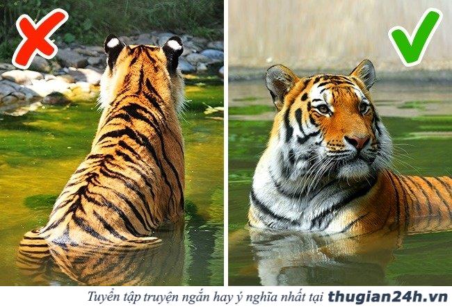 13 mẹo nhỏ vô cùng hữu ích trong cuộc sống hiện đại ngày nay 13