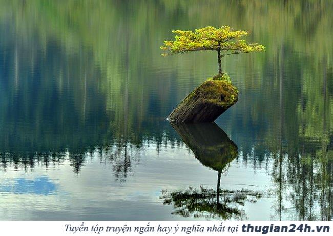 20+ hình ảnh minh chứng hùng hồn về sức sống mãnh liệt của cây cối 0