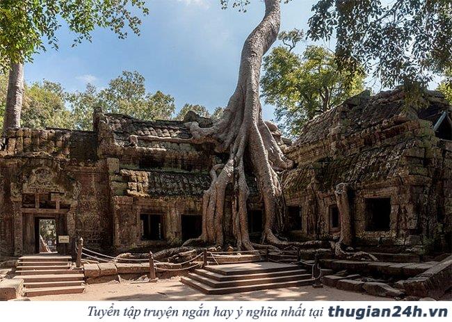 20+ hình ảnh minh chứng hùng hồn về sức sống mãnh liệt của cây cối 13