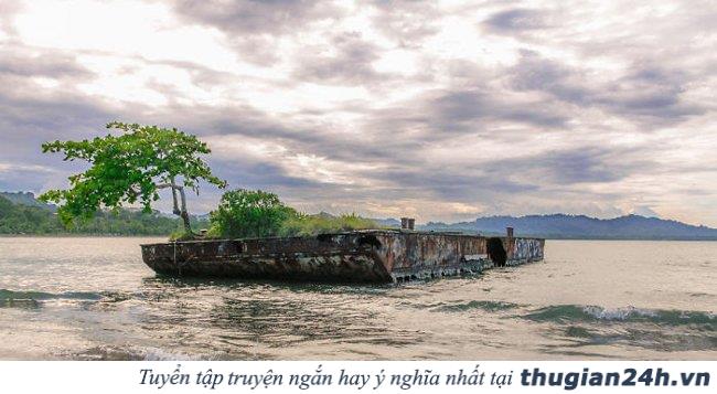 20+ hình ảnh minh chứng hùng hồn về sức sống mãnh liệt của cây cối 32