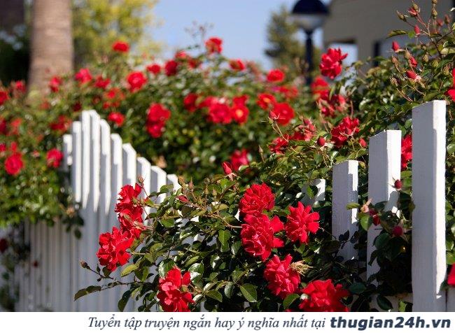 Làm thế nào để ngày cuối tuần trở nên ý nghĩa hơn? 3
