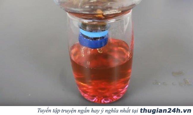 17 ý tưởng tái sử dụng chai nhựa siêu sáng tạo có thể bạn chưa biết 7