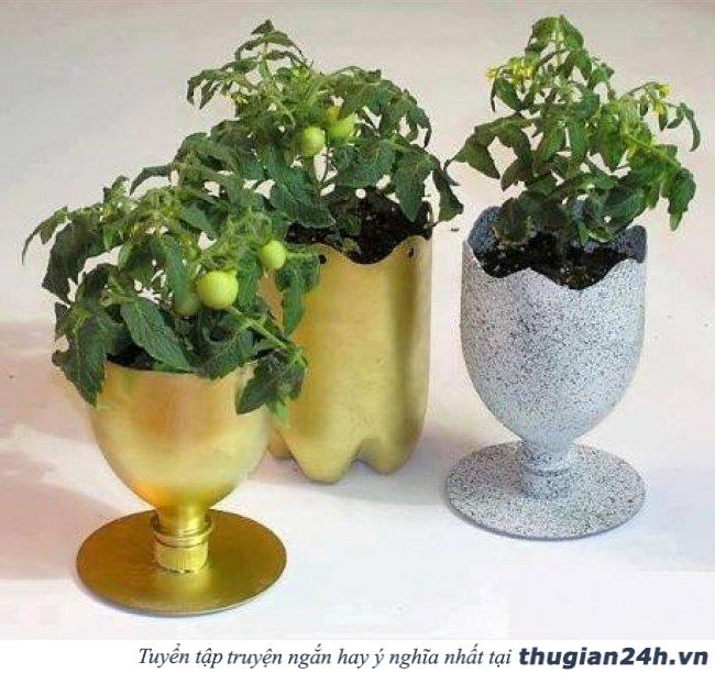 17 ý tưởng tái sử dụng chai nhựa siêu sáng tạo có thể bạn chưa biết 10