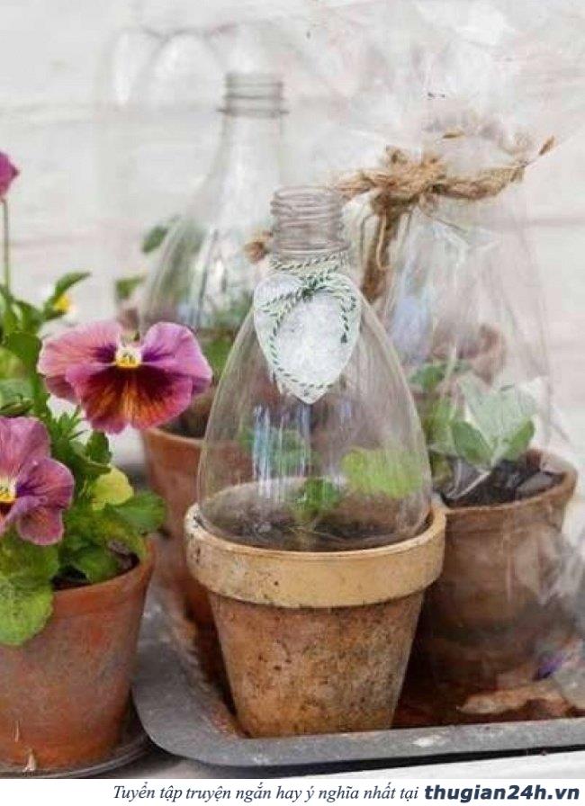 17 ý tưởng tái sử dụng chai nhựa siêu sáng tạo có thể bạn chưa biết 11
