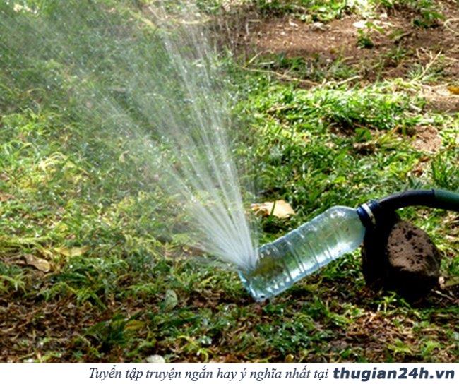 17 ý tưởng tái sử dụng chai nhựa siêu sáng tạo có thể bạn chưa biết 12