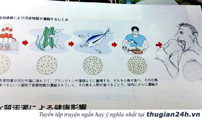 16 trang sách ấn tượng biến tiết học nhàm chán của bạn trở nên thú vị hơn 12