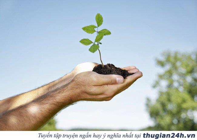 10 lời khuyên hữu ích giúp bạn suy nghĩ tích cực và sống lạc quan hơn 4