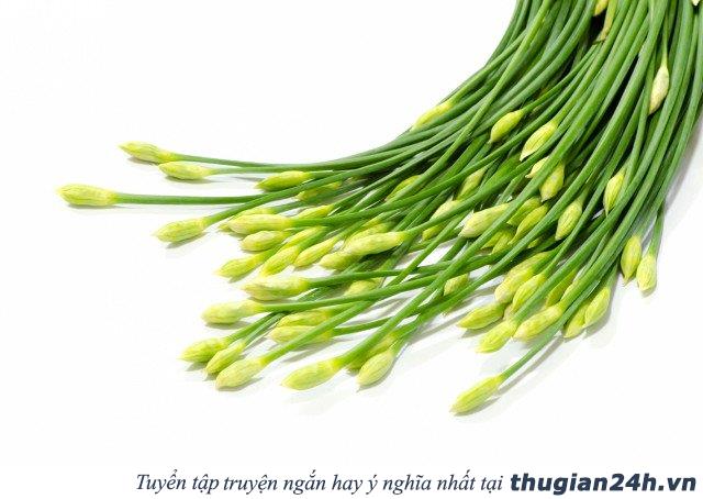 Mật ong rất tốt, thế nhưng đừng bao giờ kết hợp chúng với những thực phẩm này 3
