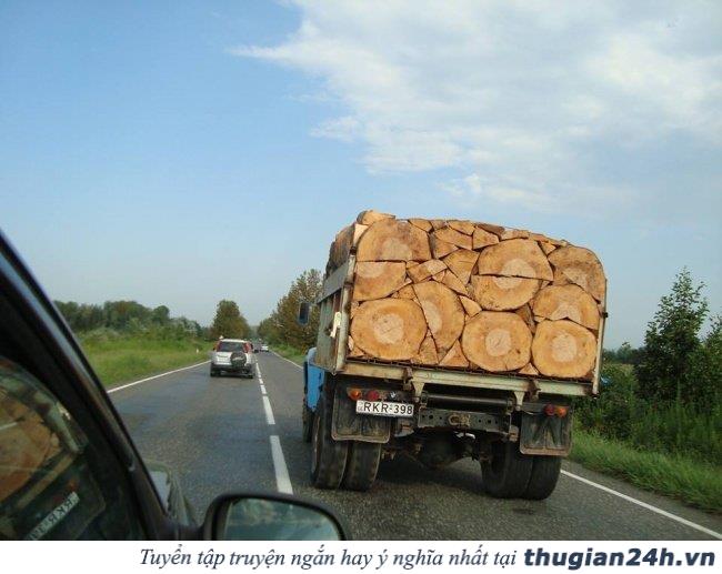 18 bức ảnh hoàn hảo tuyệt vời khiến bạn không thể rời mắt 0