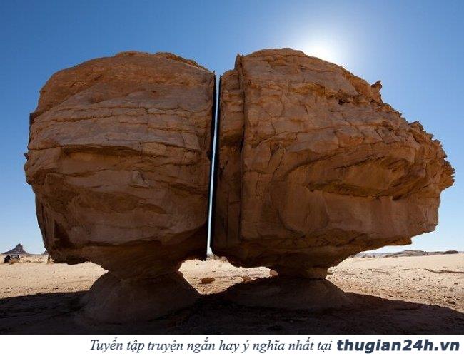 18 bức ảnh hoàn hảo tuyệt vời khiến bạn không thể rời mắt 6