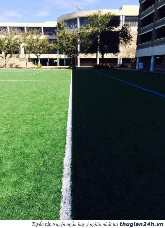 18 bức ảnh hoàn hảo tuyệt vời khiến bạn không thể rời mắt 15