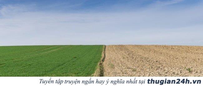 5 lời khuyên hữu ích giúp bạn đơn giản hóa cuộc sống ngay từ hôm nay 1