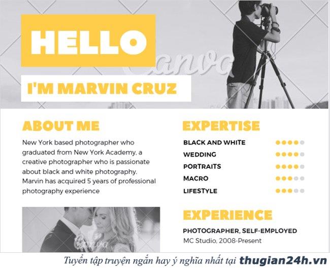 Tổng hợp 12 mẫu CV xin việc chuyên nghiệp và độc đáo dành cho bạn 2